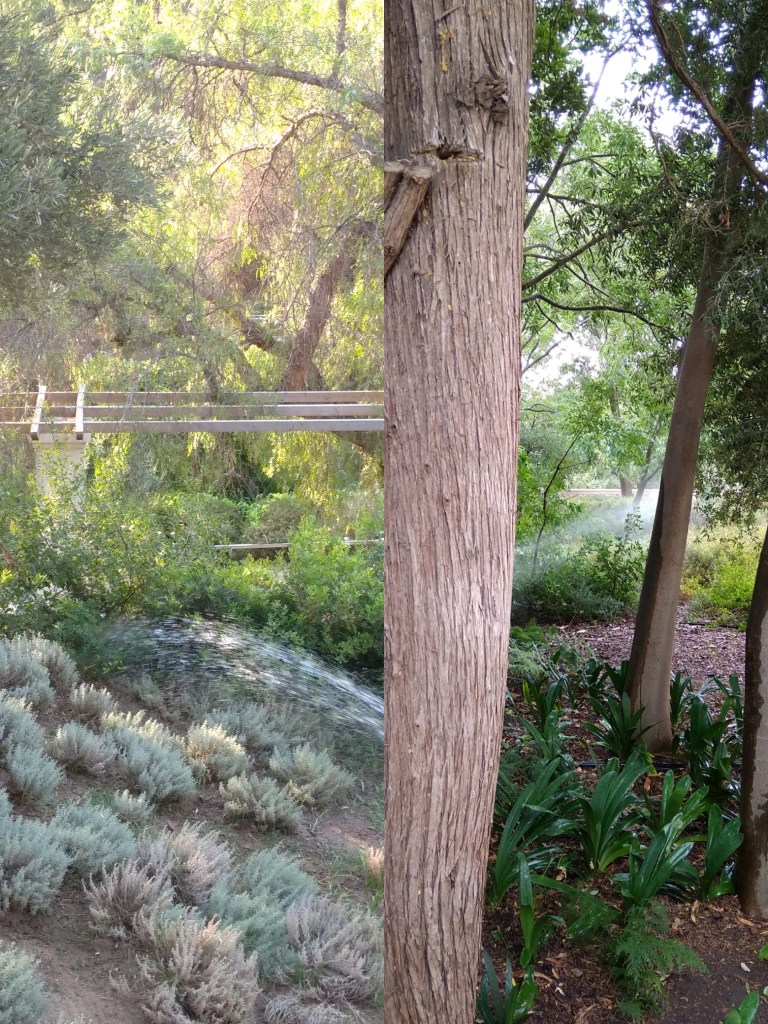 Une communication en cours, et pas seulement un chant dans les arbres pour le plaisir acoustique humain.