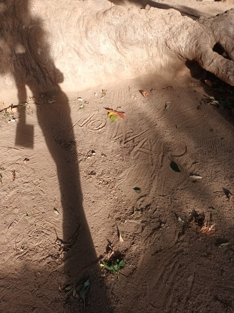 Nautilus, Ombú tree, and shade.