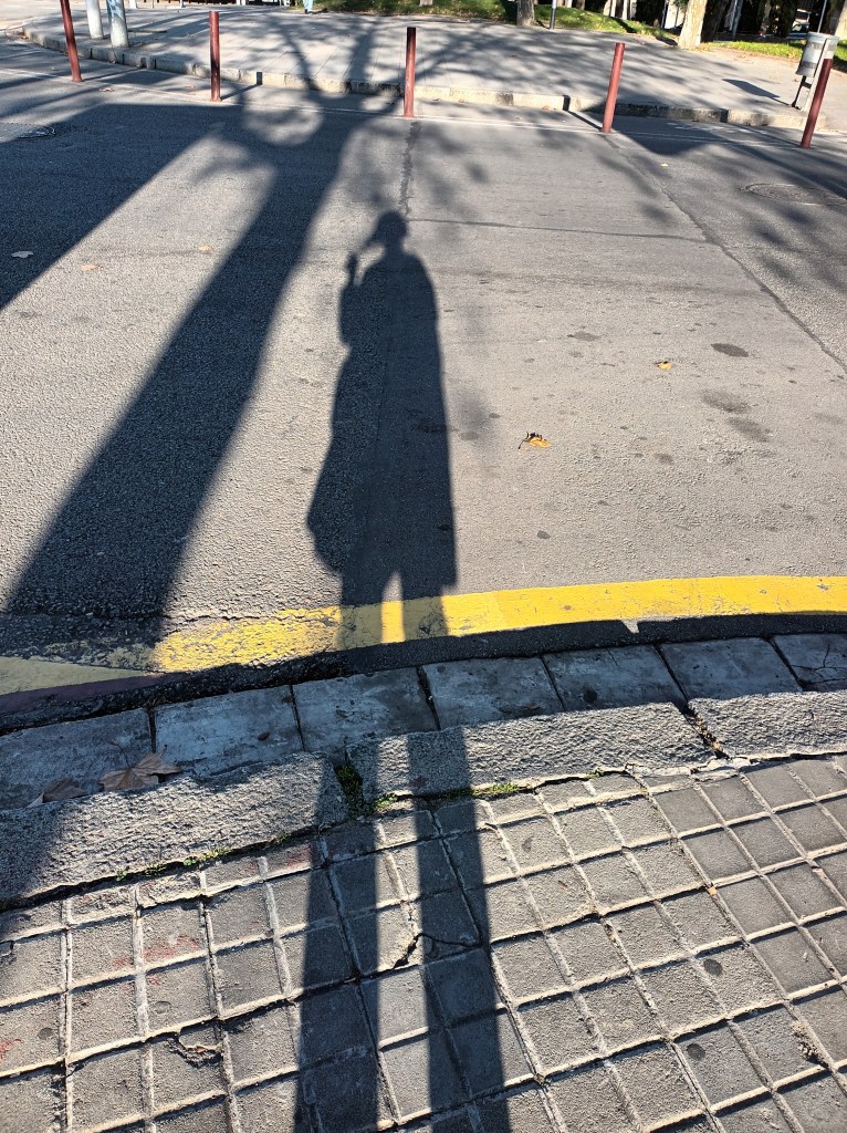 tree street crossing