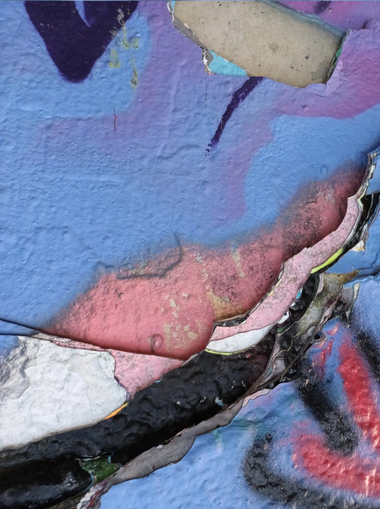 Diversity Networks, 
Compensatory Strategies
