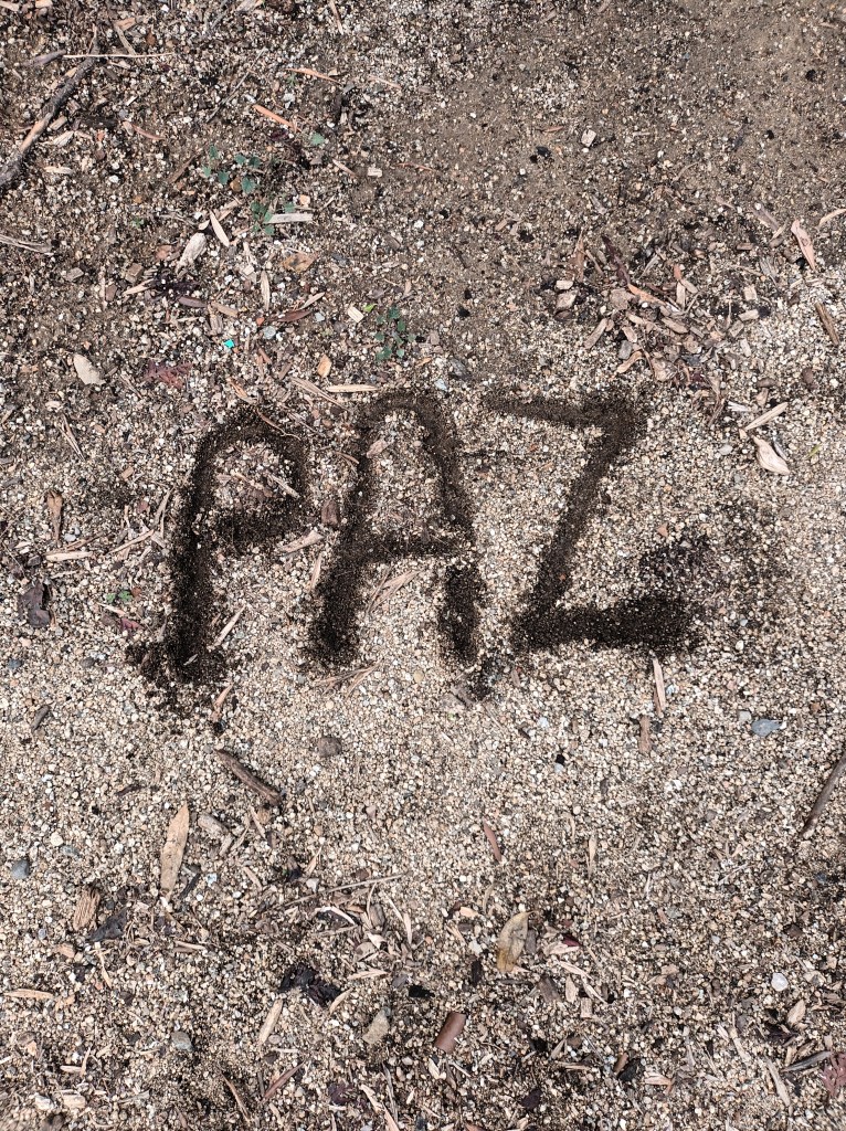 unseen statistics,
sacrificed in conflicts