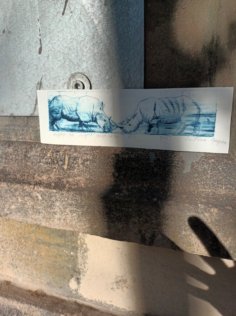 head-to-head fight
by Cristina Daniela Gagiu