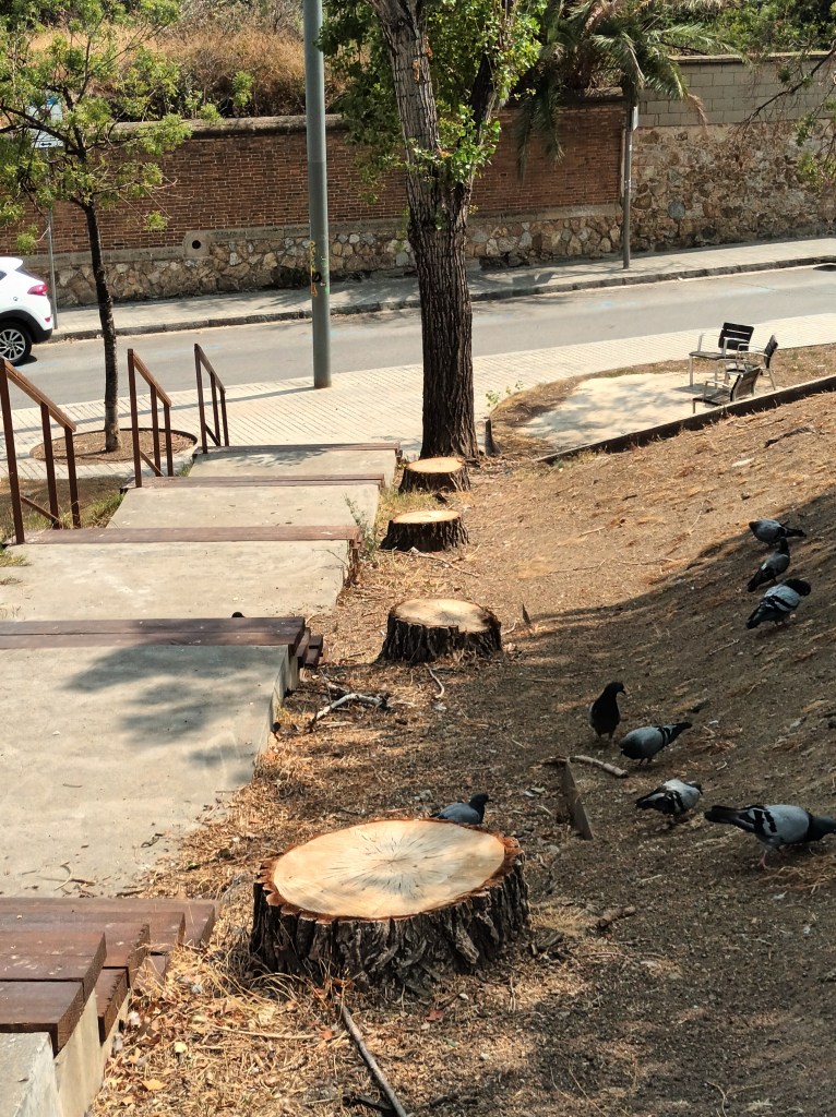 fresh air and shade 😔