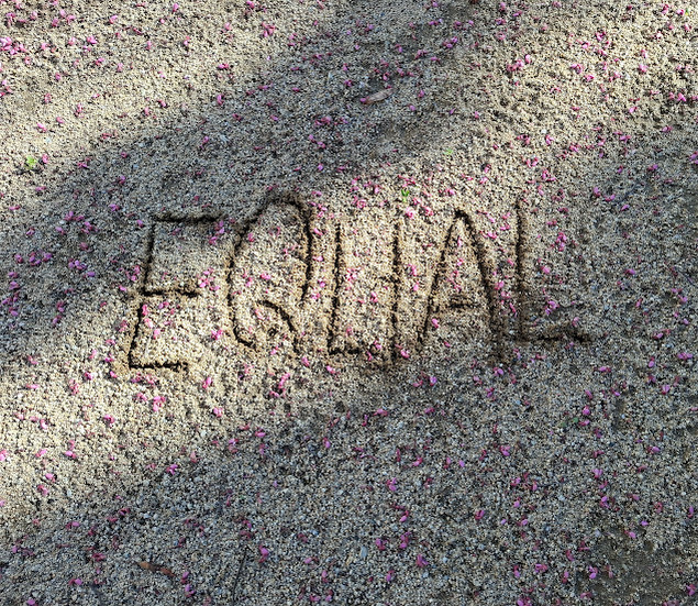 Equal with Lila Flowers