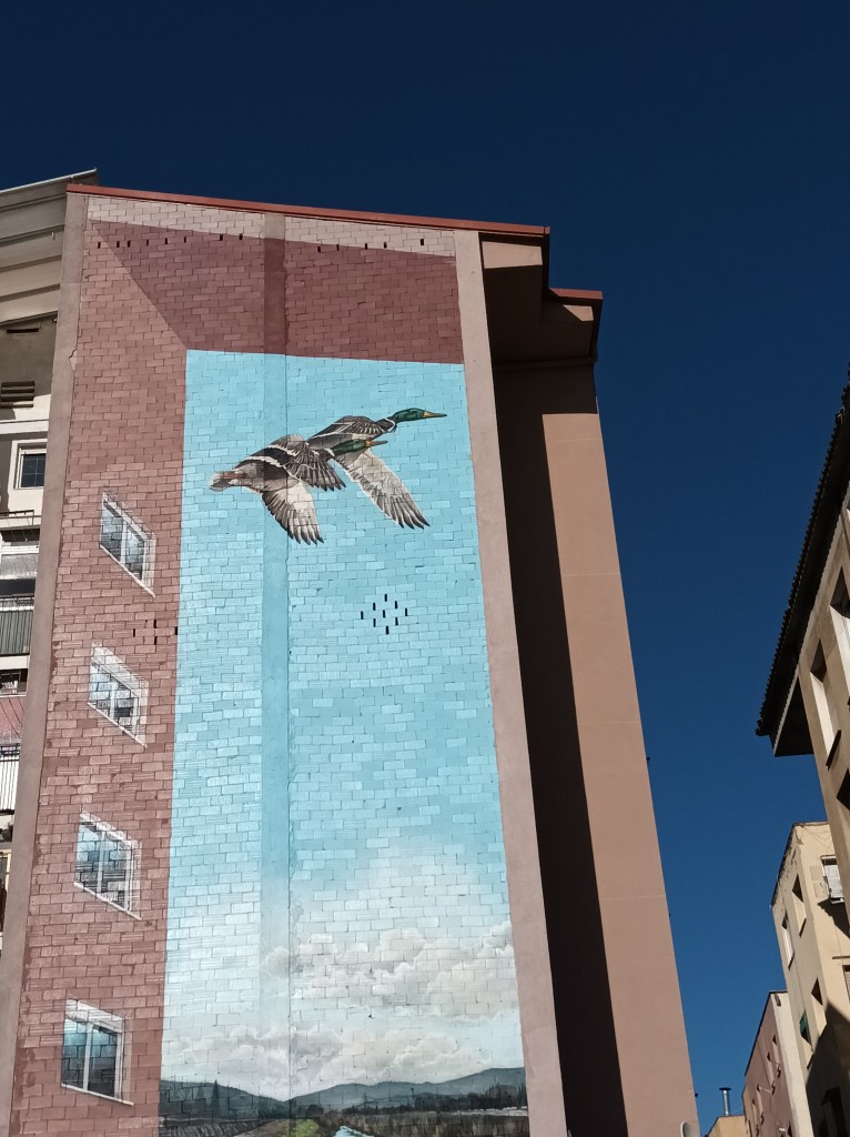 Ducks and Windows by Mateo Lara