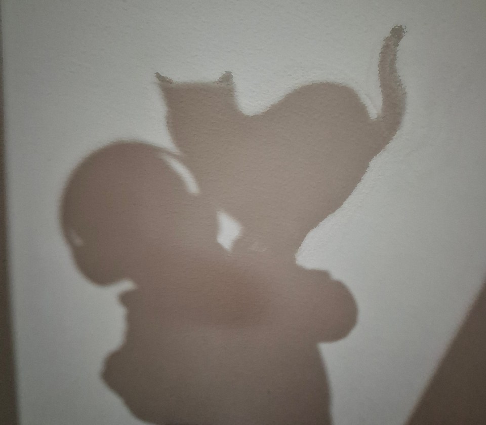 Headphones Shadow with Cat