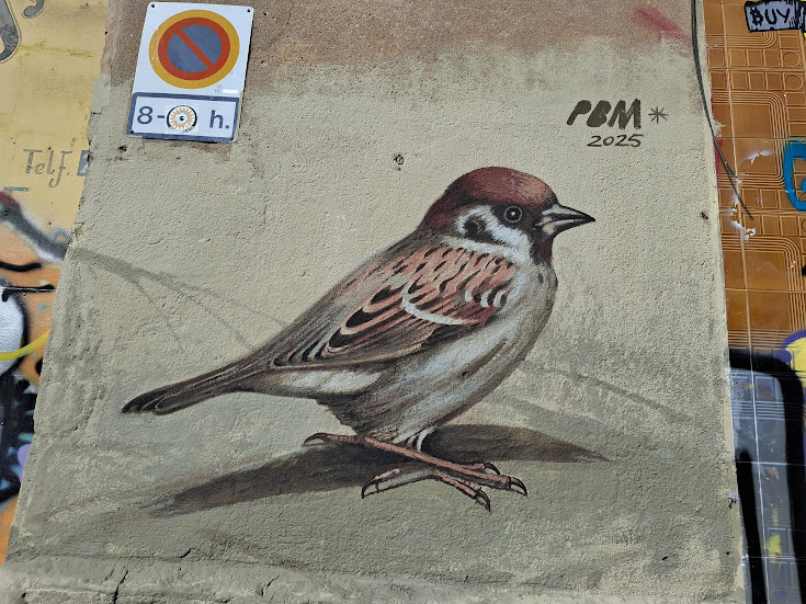Sparrow
by Pere Blanco Molina