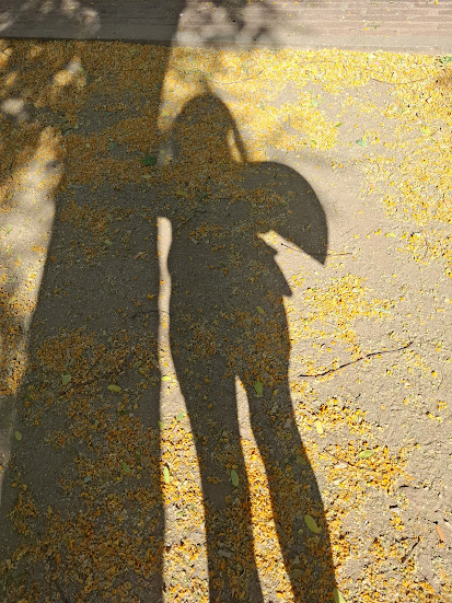 Shadow Selfie with Tree and Fan