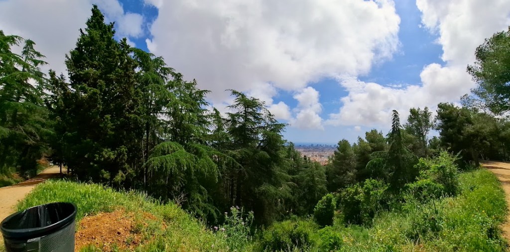 The hills panorama