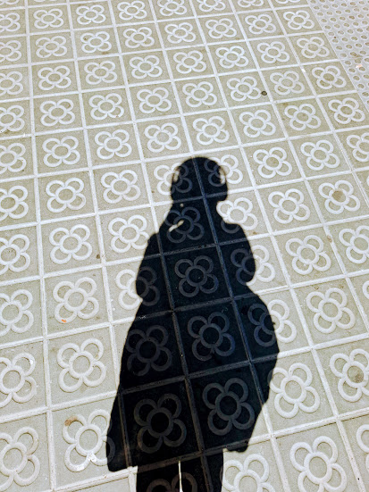 Umbra cu Casti pe un Asfalt cu Flori