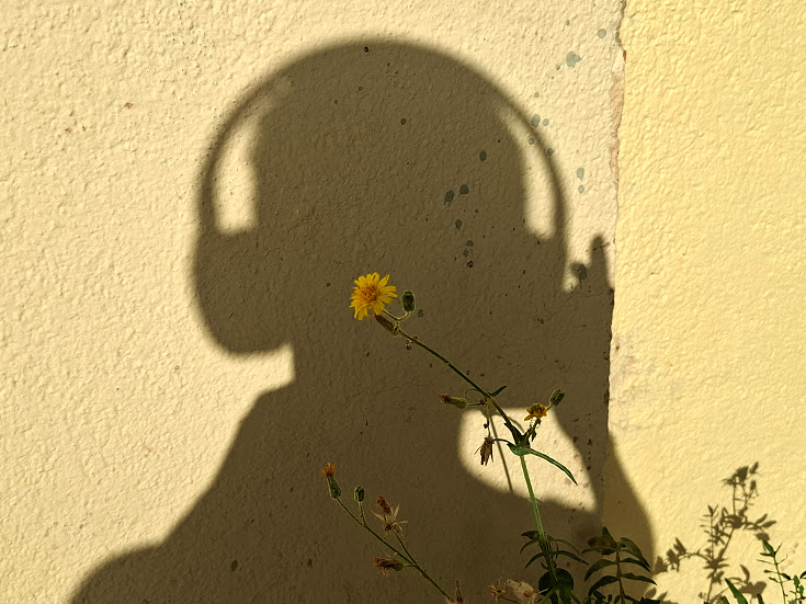 Headphones Shadow