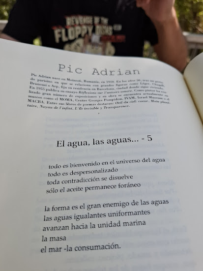 El agua, las aguas 
Poema de Pic Adrian