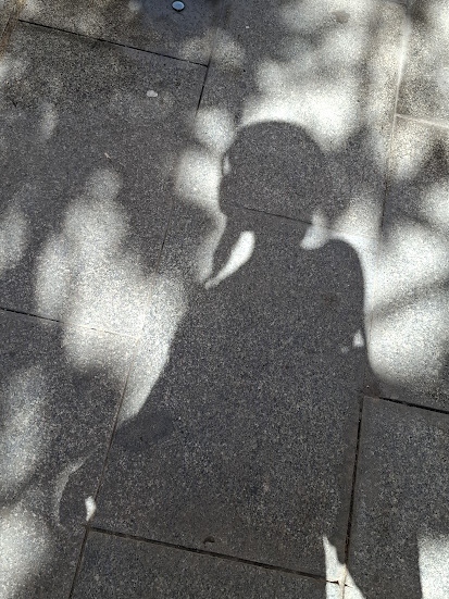 Umbra si Memoria Revolutiei