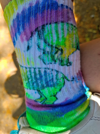 Painted Rhino Socks for Diversity