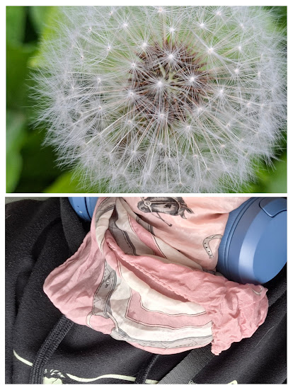 Cap de papadie cu esarfa si casti