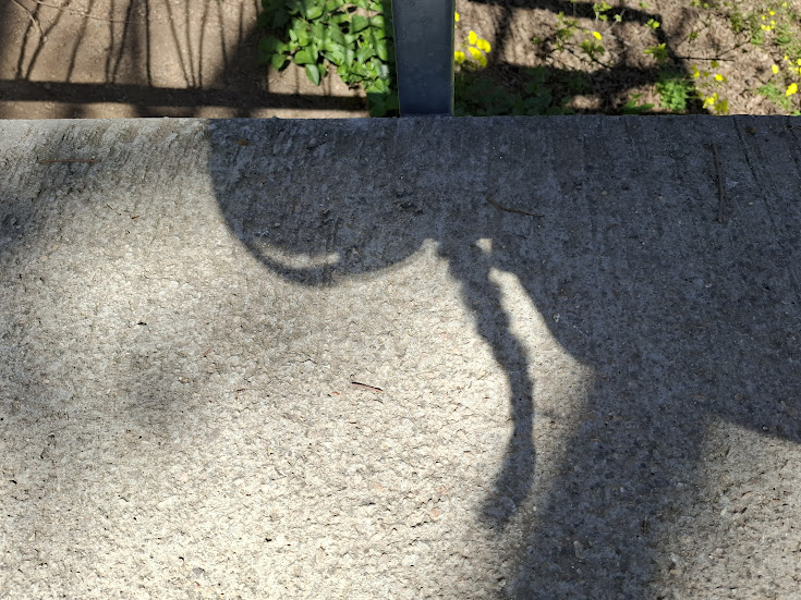Half Shadow