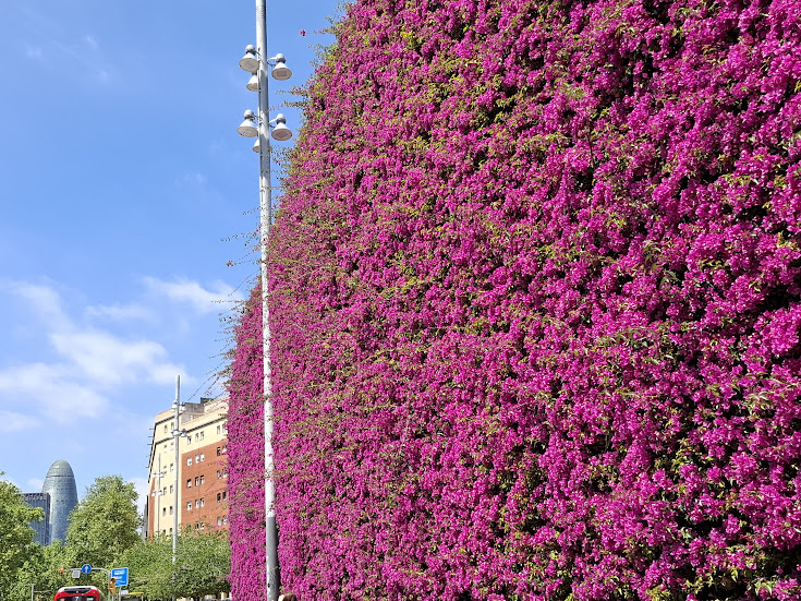 Green Walls