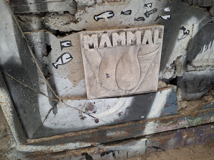 mammal