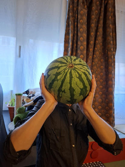 Watermelon Head + Tuxedo Cat
