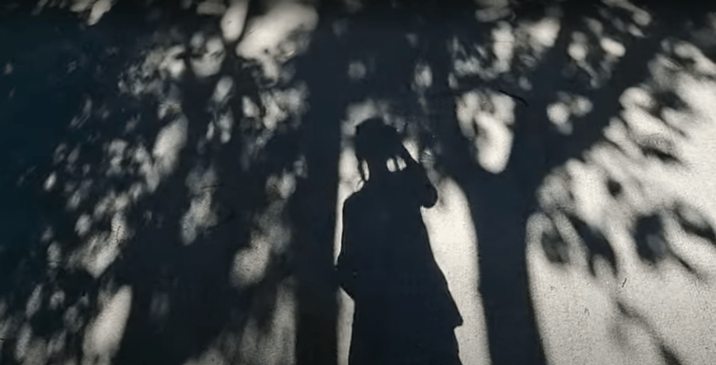Shadow for Collective Memory