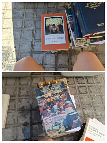 Books and Legs Collage