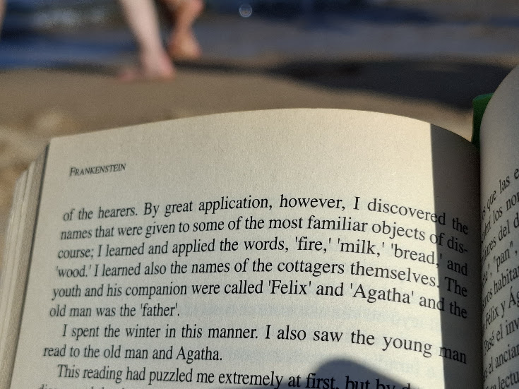 Language acquisition